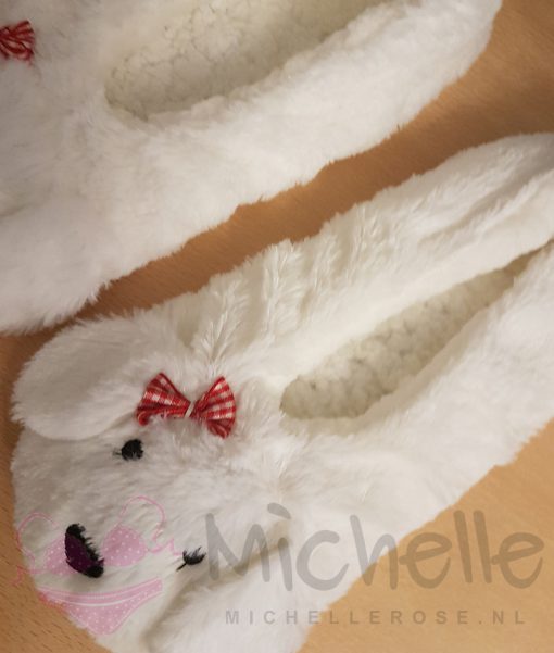 Gedragen pantoffels hond - Afbeelding 2
