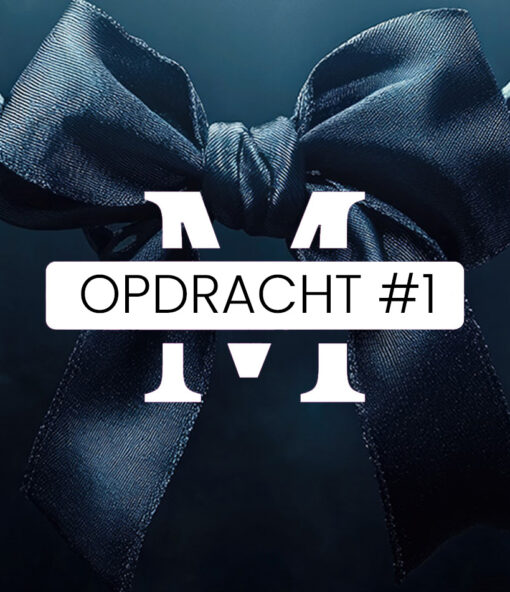 Gehoorzaamheidstraining #01